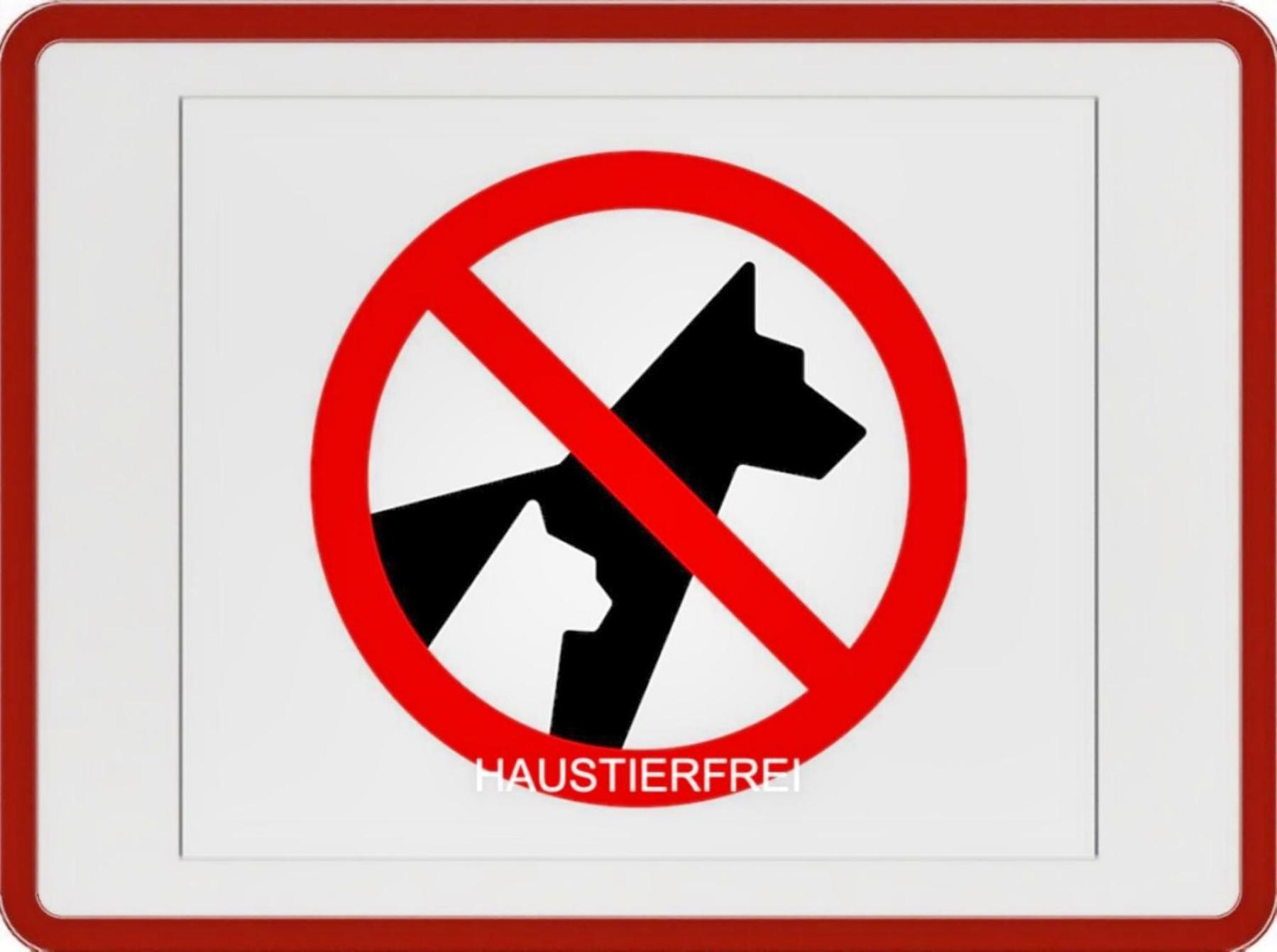Haus Im Gruenen Daire Heringsdorf Oda fotoğraf